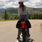 PackRat Double Panniers