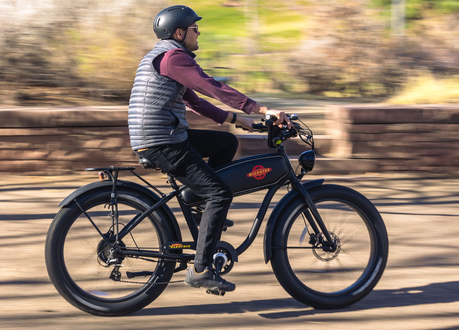 Beast 750W Fat-Tire Cruiser eBike – Wildsyde® Electric Bicycles