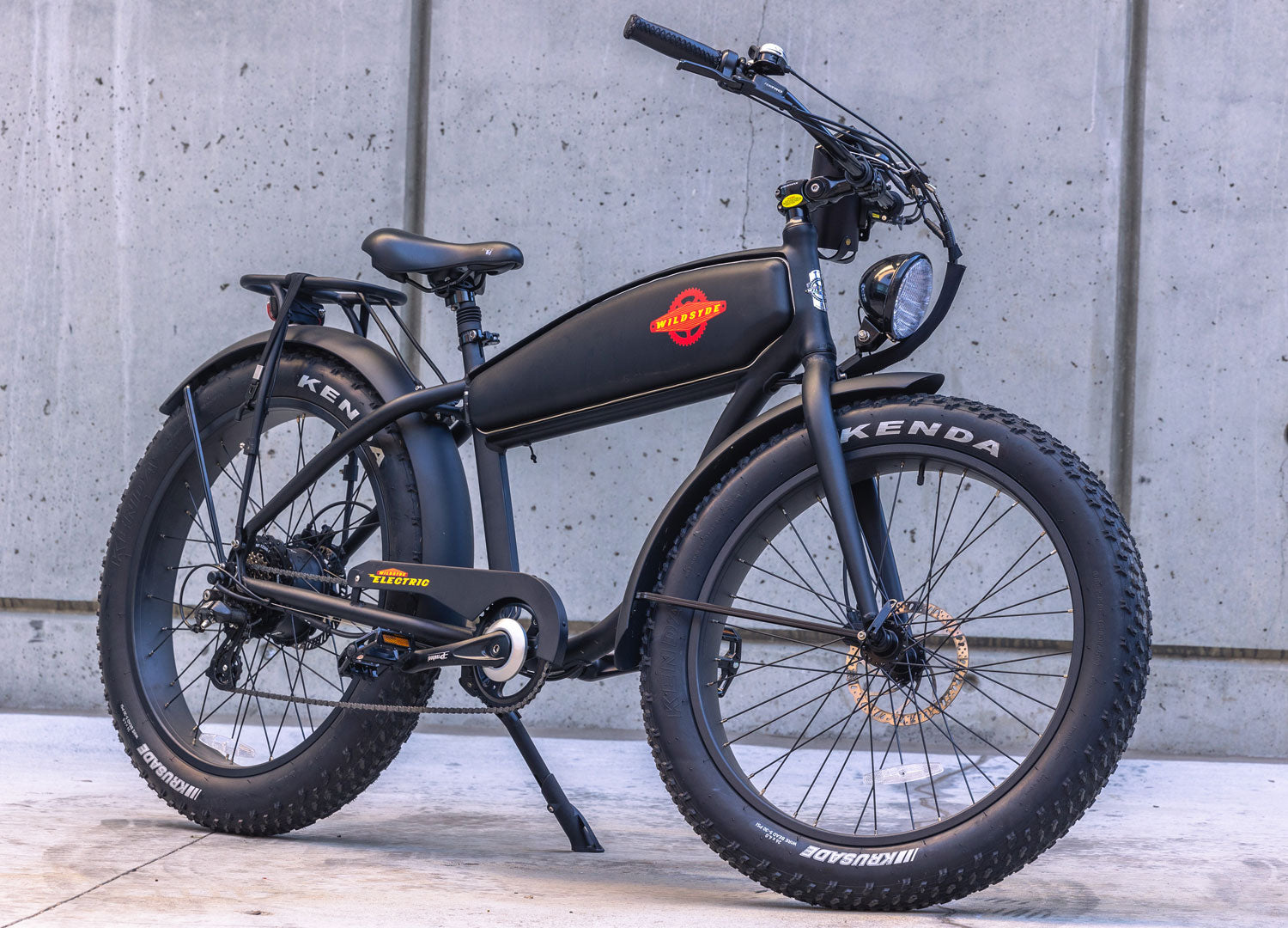 Beast 750W Fat-Tire Cruiser eBike – Wildsyde® Electric Bicycles