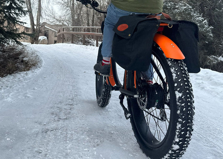 Beast 750W Fat-Tire Cruiser eBike – Wildsyde® Electric Bicycles
