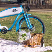 Rear Cargo Wicker Basket