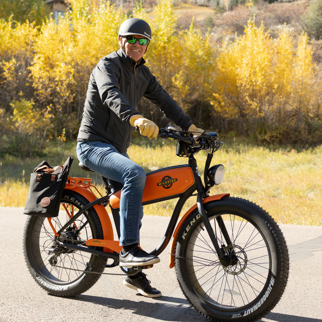 Stash Pannier