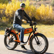 Stash Pannier