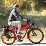Stash Pannier